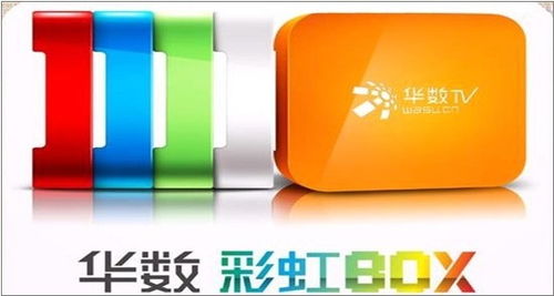 OTT浪潮中的隐形推手 新媒体技术服务商的角色与终端热潮透视