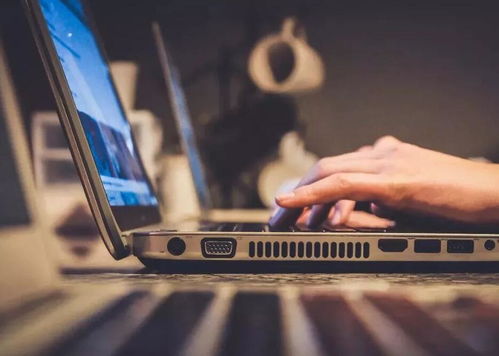 张雪峰看未来5年 新媒体技术服务等三大专业潜力无限，你的专业在其中吗？